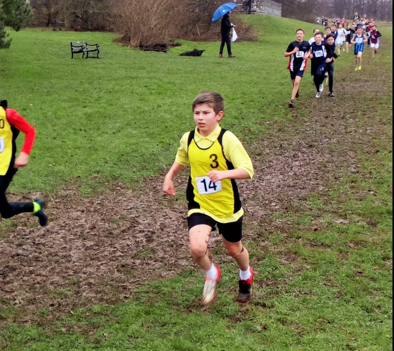 County Cross Country Championships