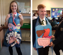 Fantastic digestive system models made by Year 9!