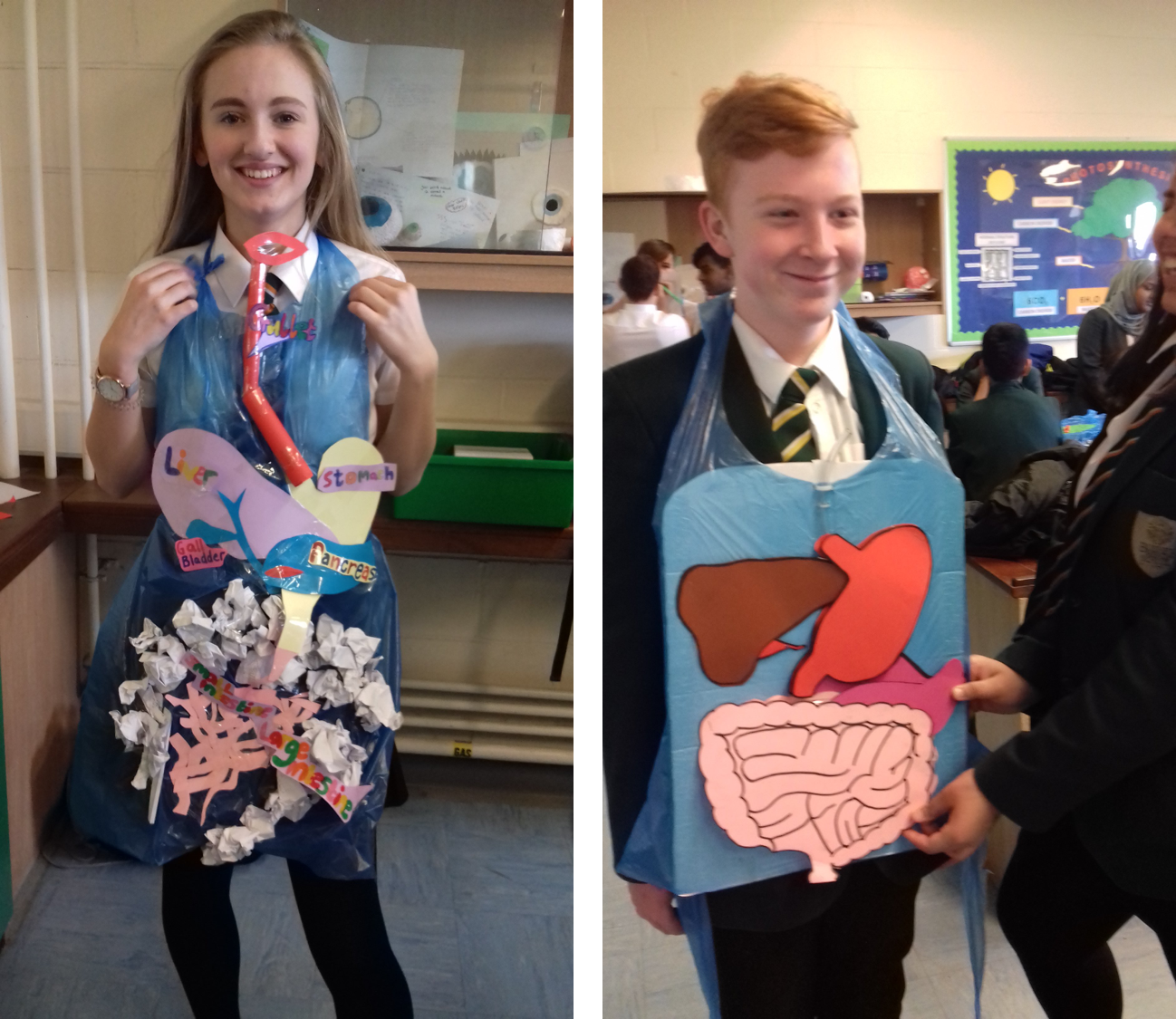 Fantastic digestive system models made by Year 9!