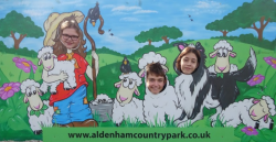 Lambing season at Aldenham Country Park