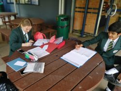 Year 11s striving for success…