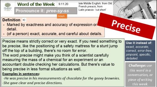 Word of the Week: Precise