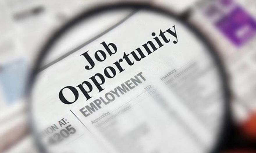 Job Opportunities with Borras
