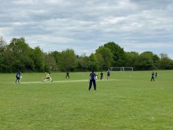 Year 7 and 8 Cricket Match