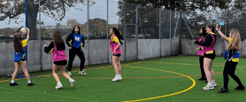 House netball newsletter