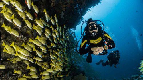 Year 9 Student Makes a Splash with PADI Diving Certification!