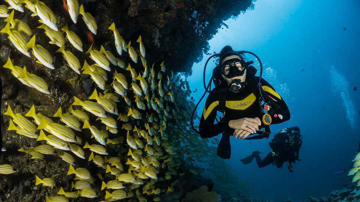 Year 9 Student Makes a Splash with PADI Diving Certification!