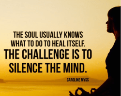 Mindful Moment