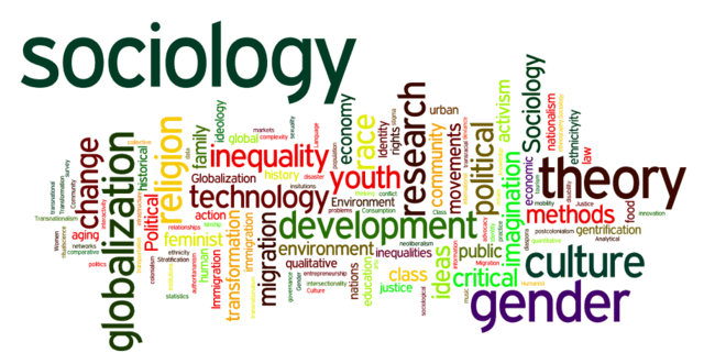 Year 12 Sociologists