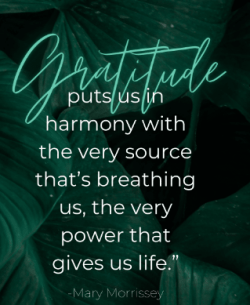 Mindful Moment