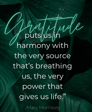 Mindful Moment