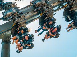 Exciting School Trips This Half Term!