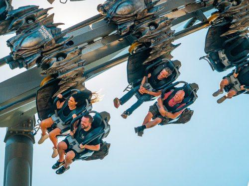 Exciting School Trips This Half Term!