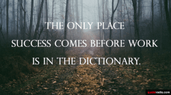 Newsletter article – Preparing for PPEs