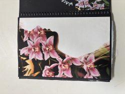 Sixth Form Kindness Matters