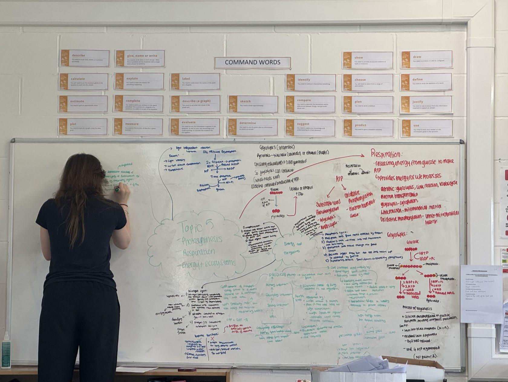 Building Connections for Success in A-Level Biology